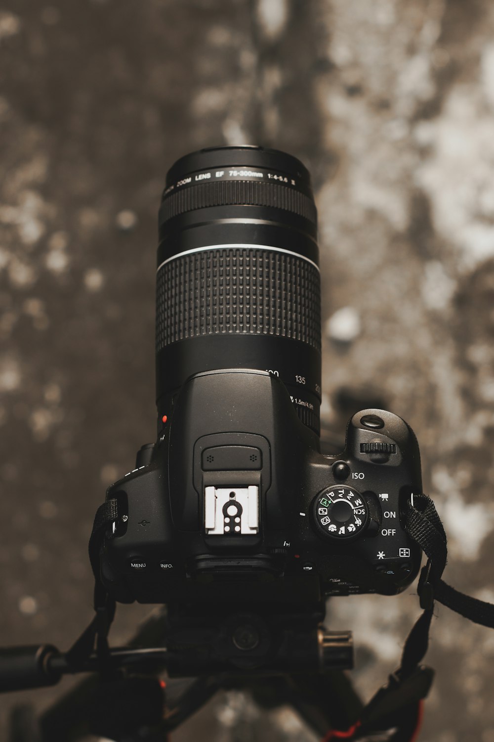 Fotocamera reflex digitale Nikon nera su superficie marrone