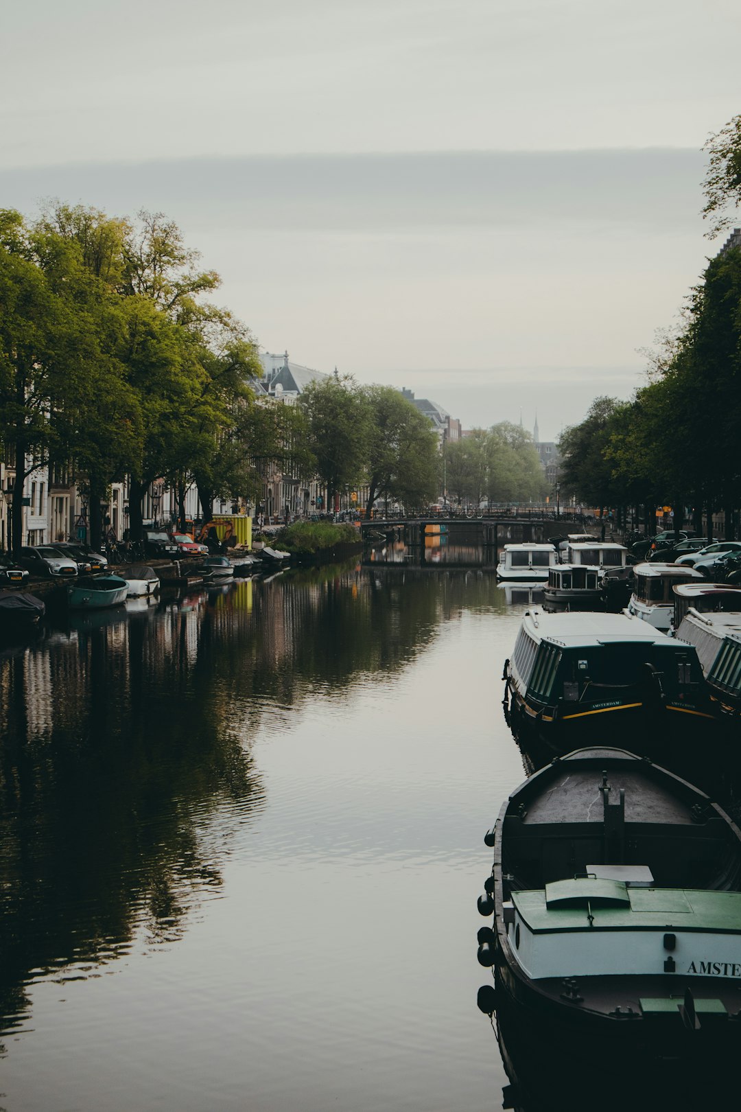 white and black boat on river during daytime