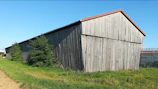 Wide shot of the barn framed by tall oak trees under a clear blue sky.