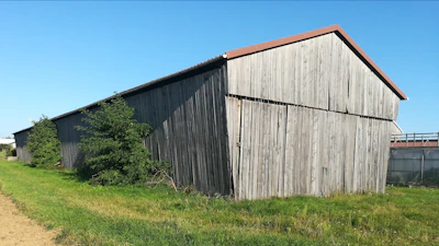 Wide shot of the barn framed by tall oak trees under a clear blue sky.