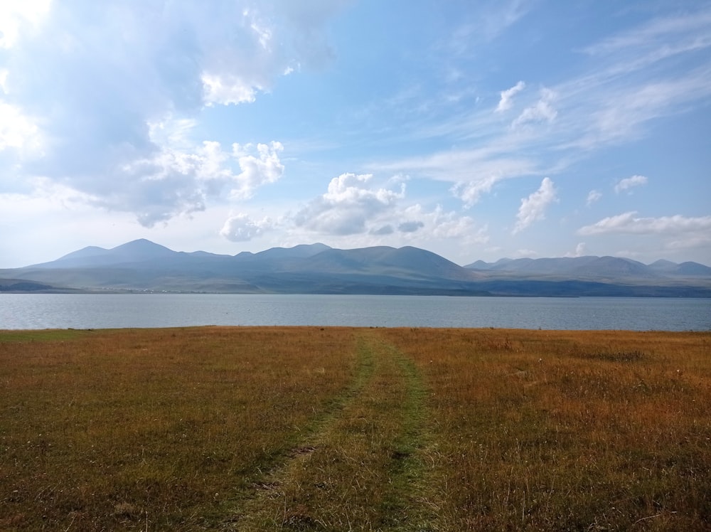 green grass field near body of water under white clouds during daytime