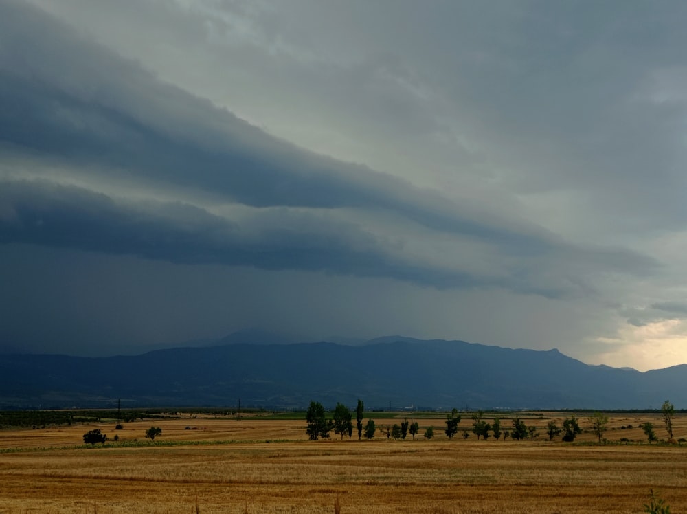 green grass field under white clouds during daytime