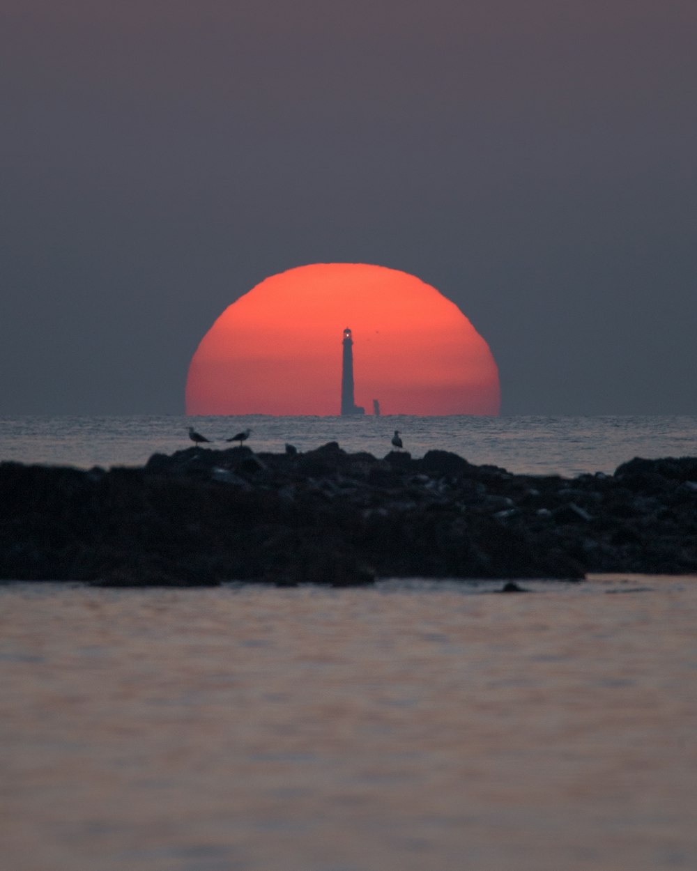 orange ball on black rock near body of water during sunset