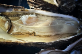 An open oyster shell revealing the creamy, shiny flesh inside. The texture and details of the oyster interior are highlighted under natural lighting, with gentle reflections on the moist surface.