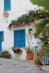 A charming white house with vibrant blue shutters and window frames, complemented by flowering plants in terracotta pots. Vines elegantly climb the walls, and a vintage lantern hangs beside the window. The cobblestone path adds a rustic feel to the serene setting.
