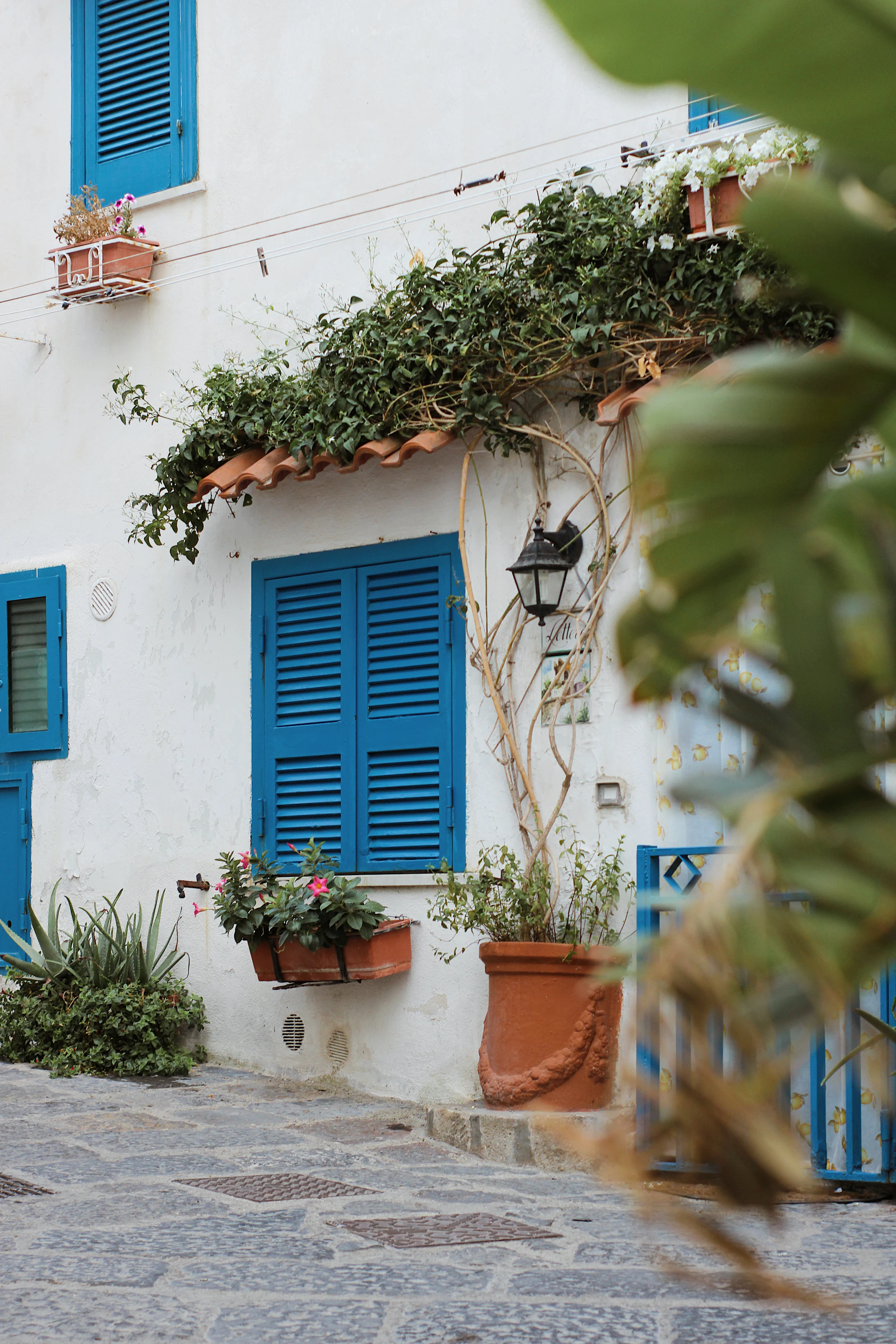 Charming traditional Mykonos whitewashed house with blue shutters and a blooming garden.