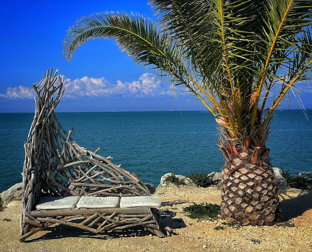 palm tree near body of water during daytime