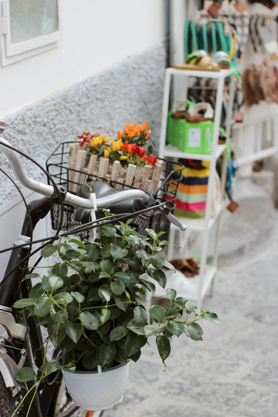 green plant on white bicycle