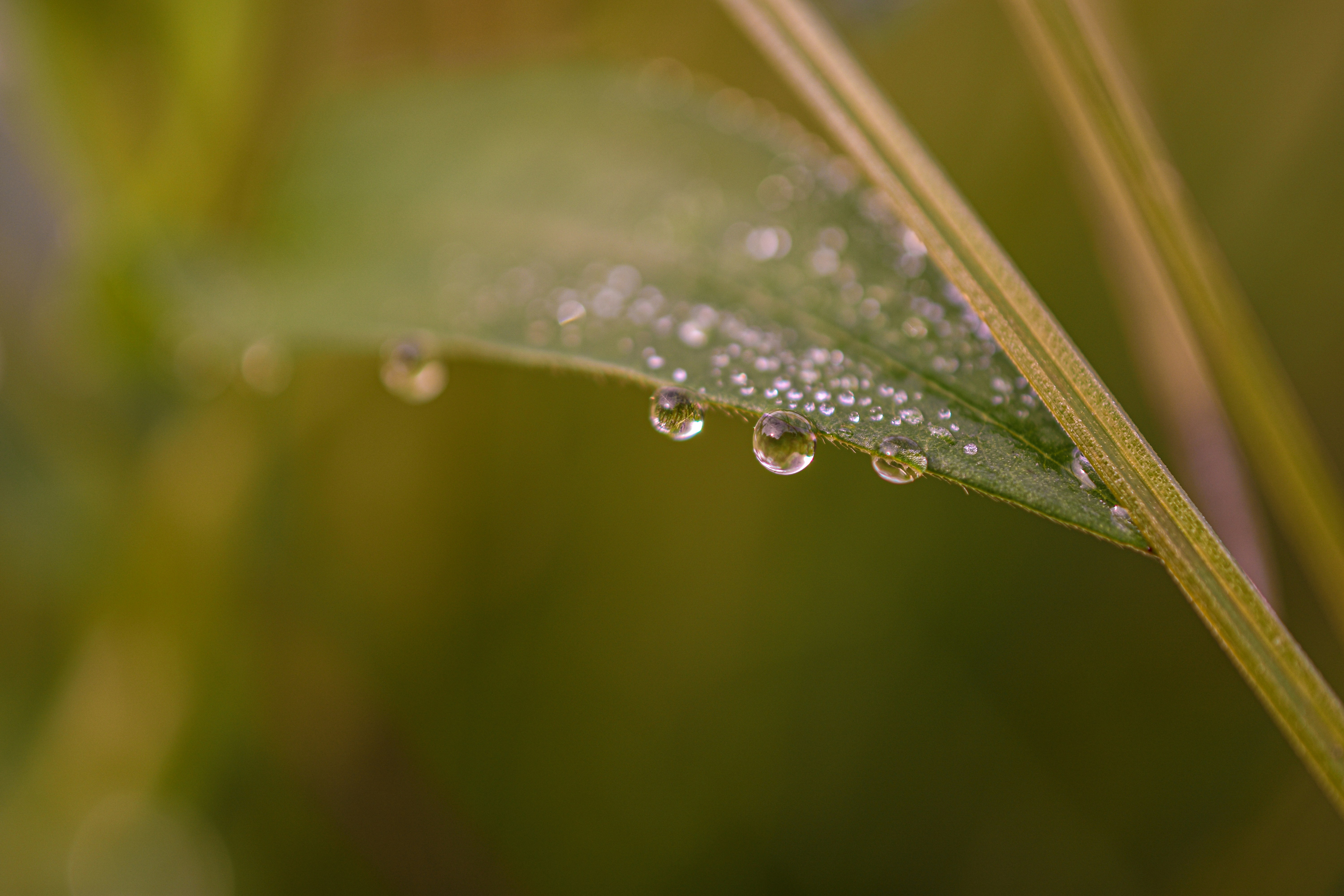 Micro‑Drop Mechanics for Local Marketplaces in 2026: Edge‑Powered One‑Page Launches and Flash‑Bundle Tactics