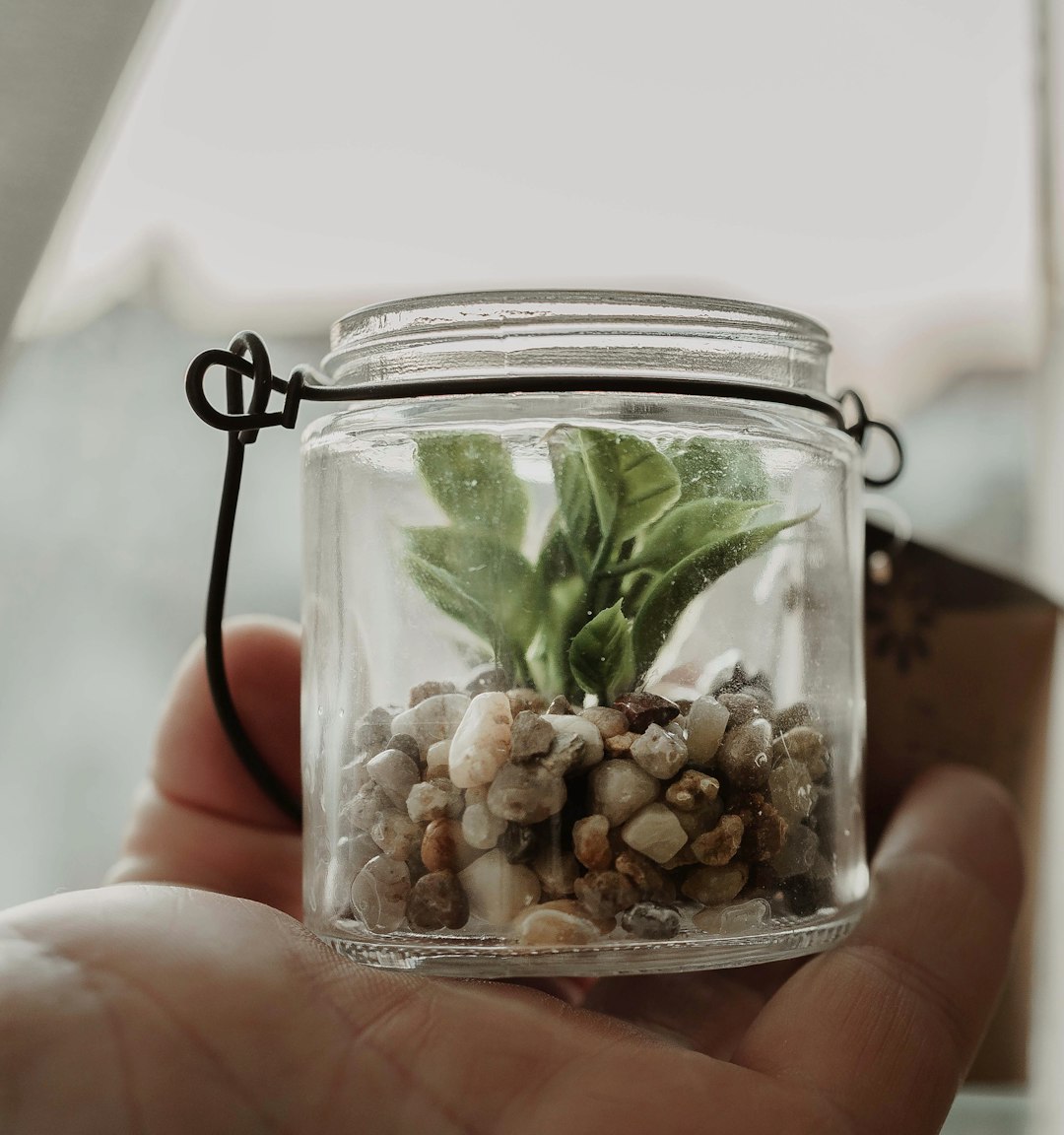 clear glass jar with white and brown pebbles