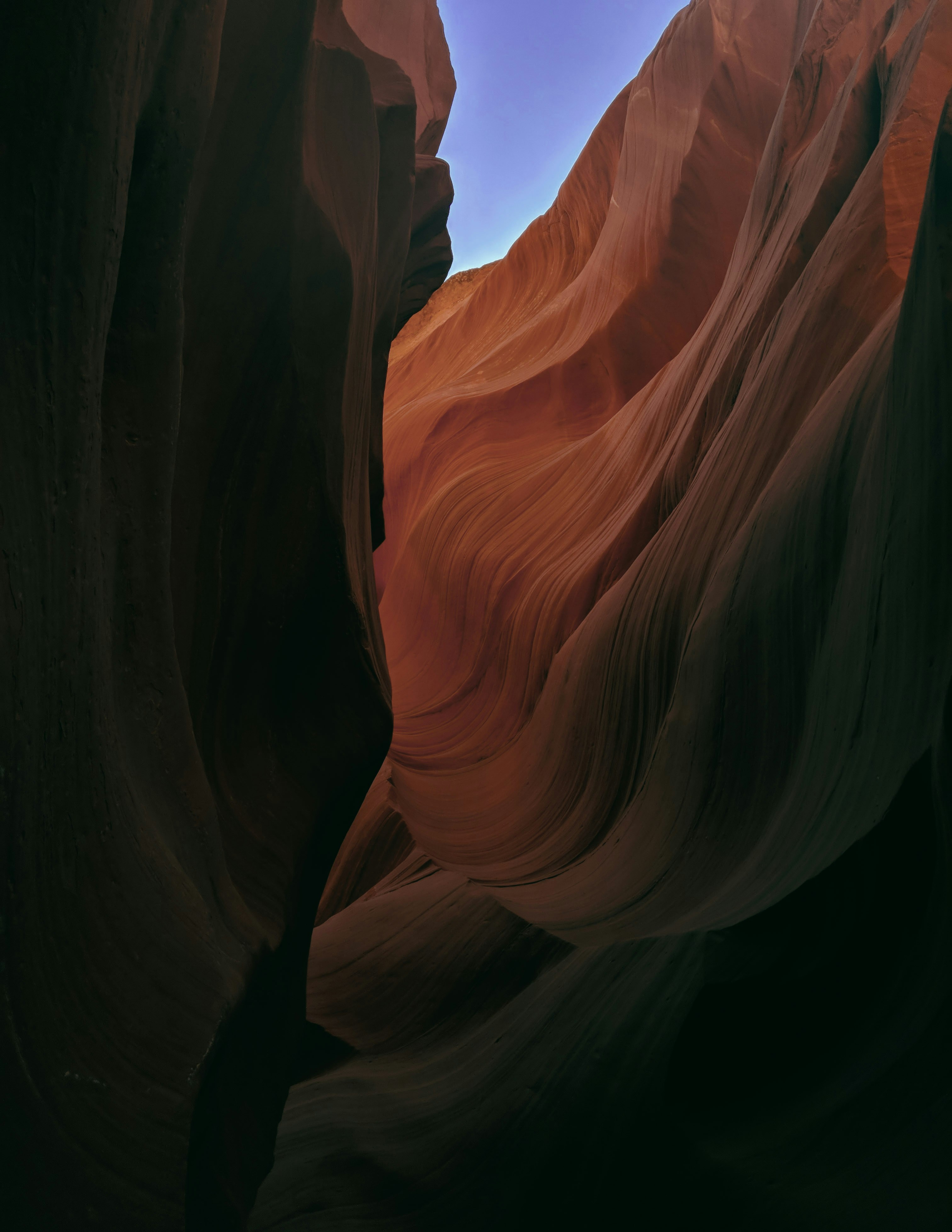 Photo by melphinjames