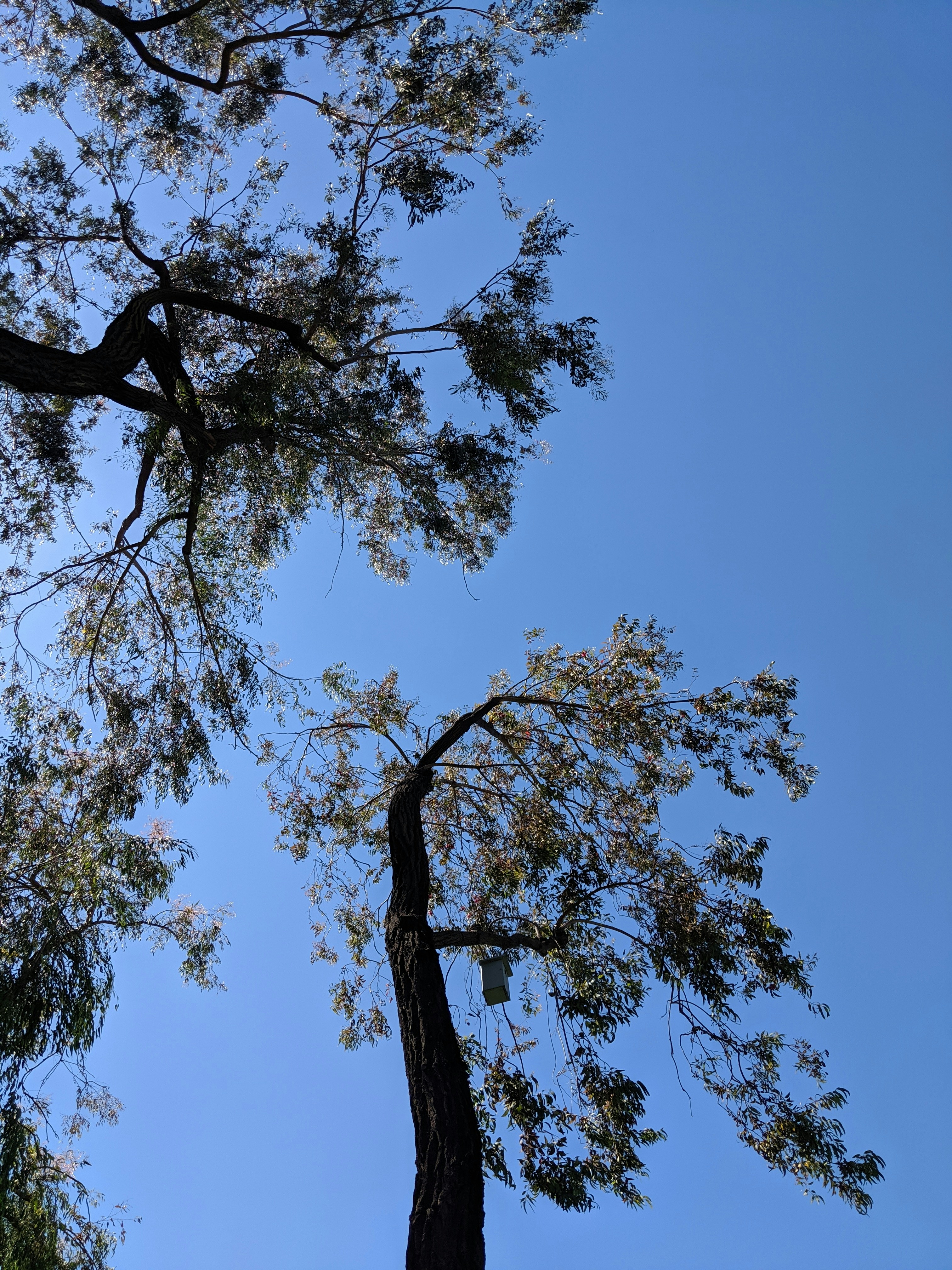 Photo by melphinjames