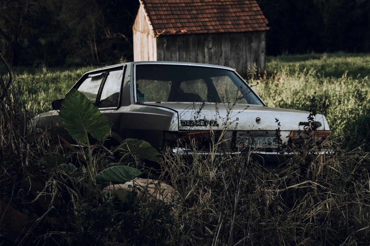 The Return of The Prodigal Son