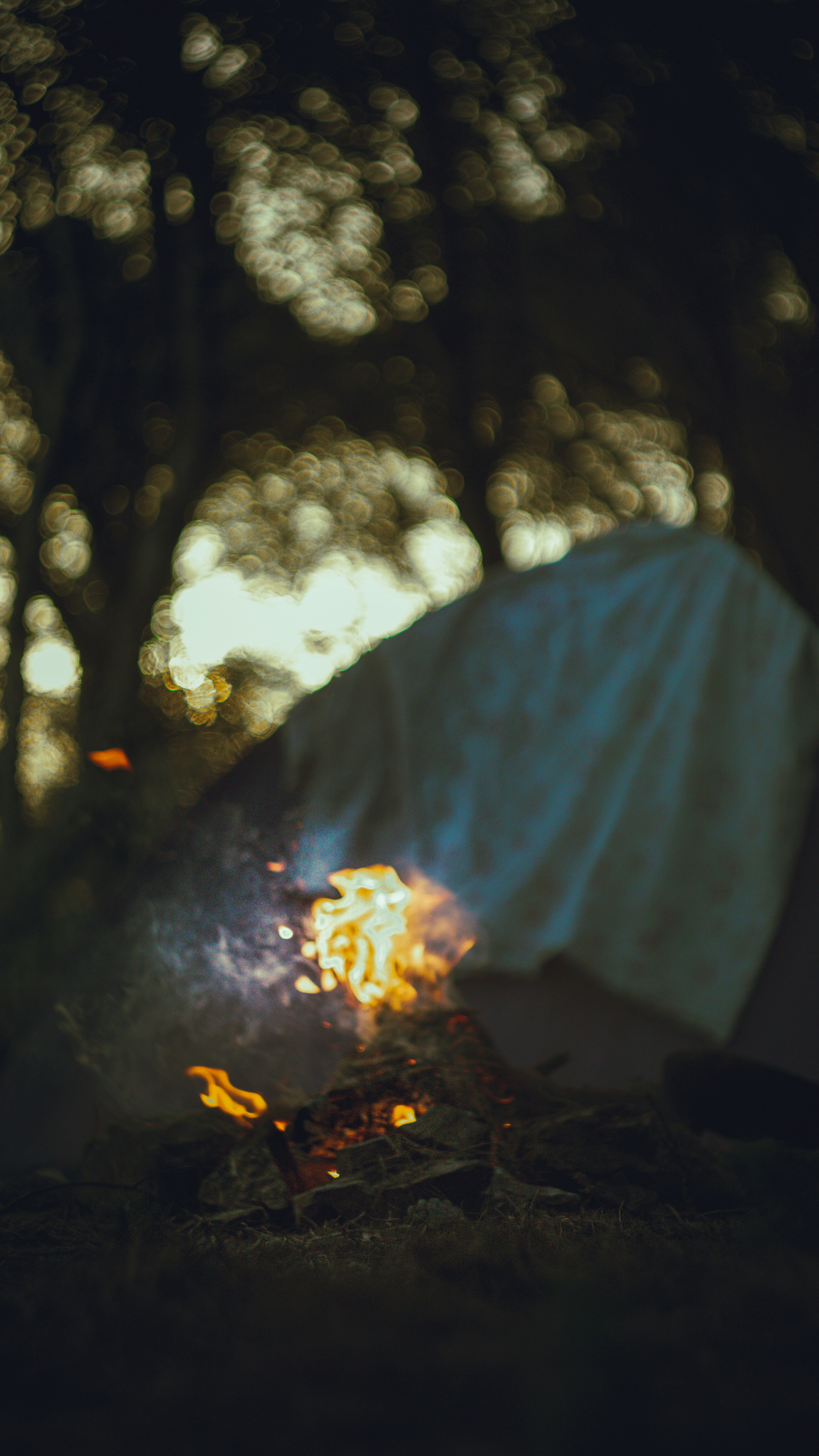 campfire forest wallpaper, wallpaper, Best Books to Read by the Campfire 2