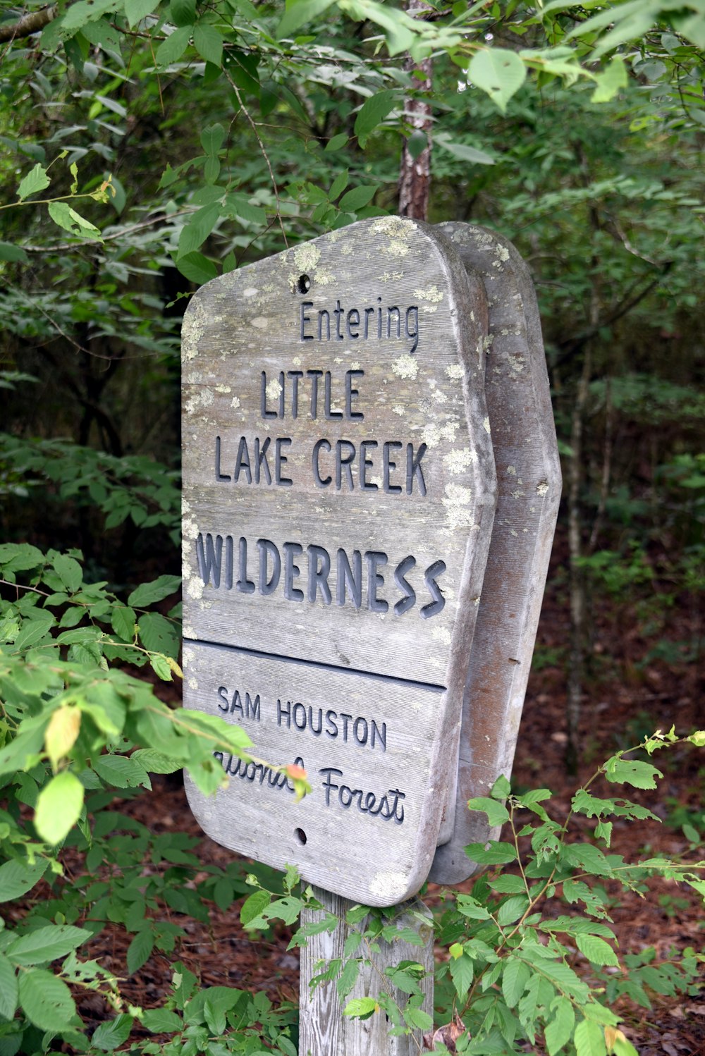 white and black wooden signage