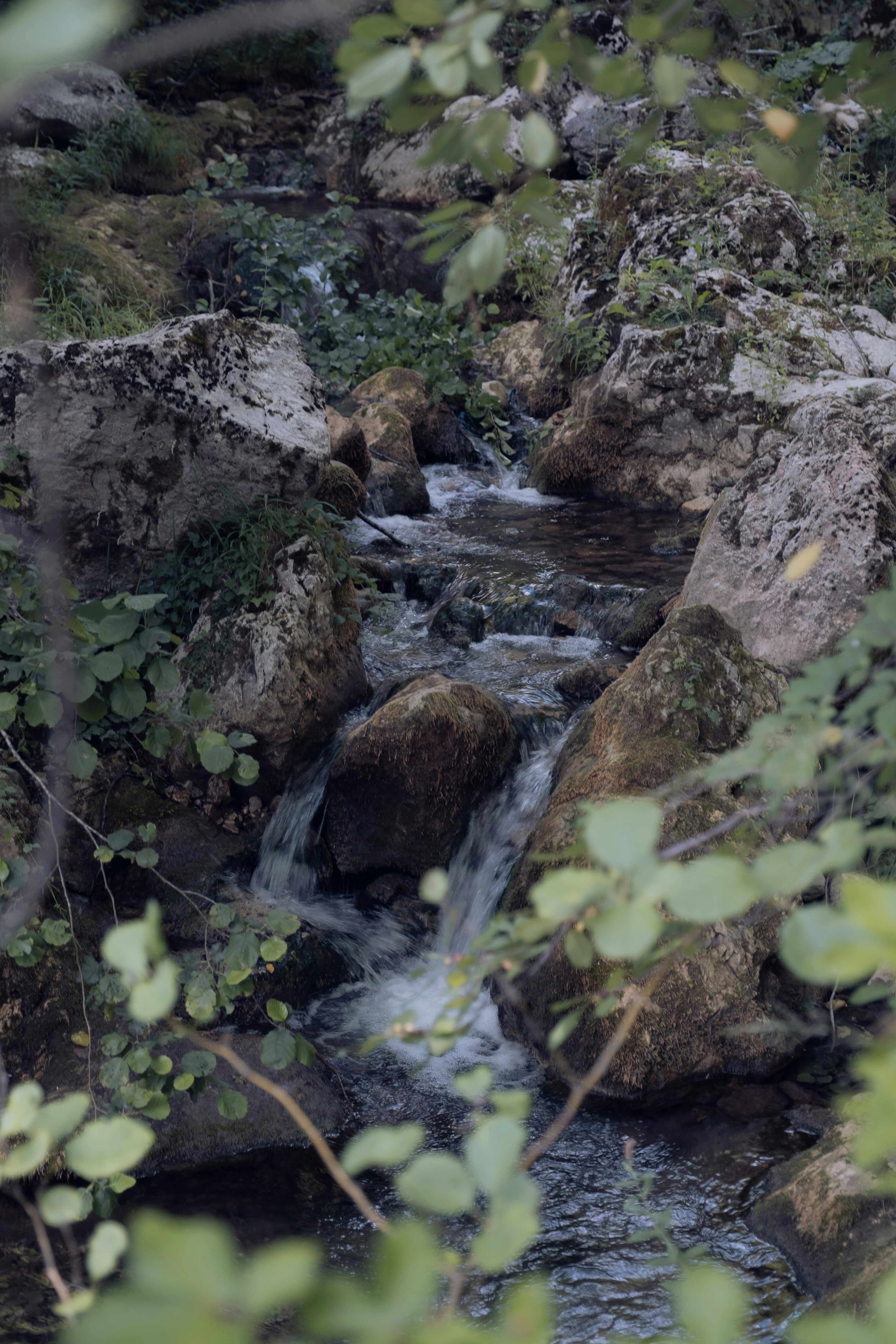 Photo by muhamed77777