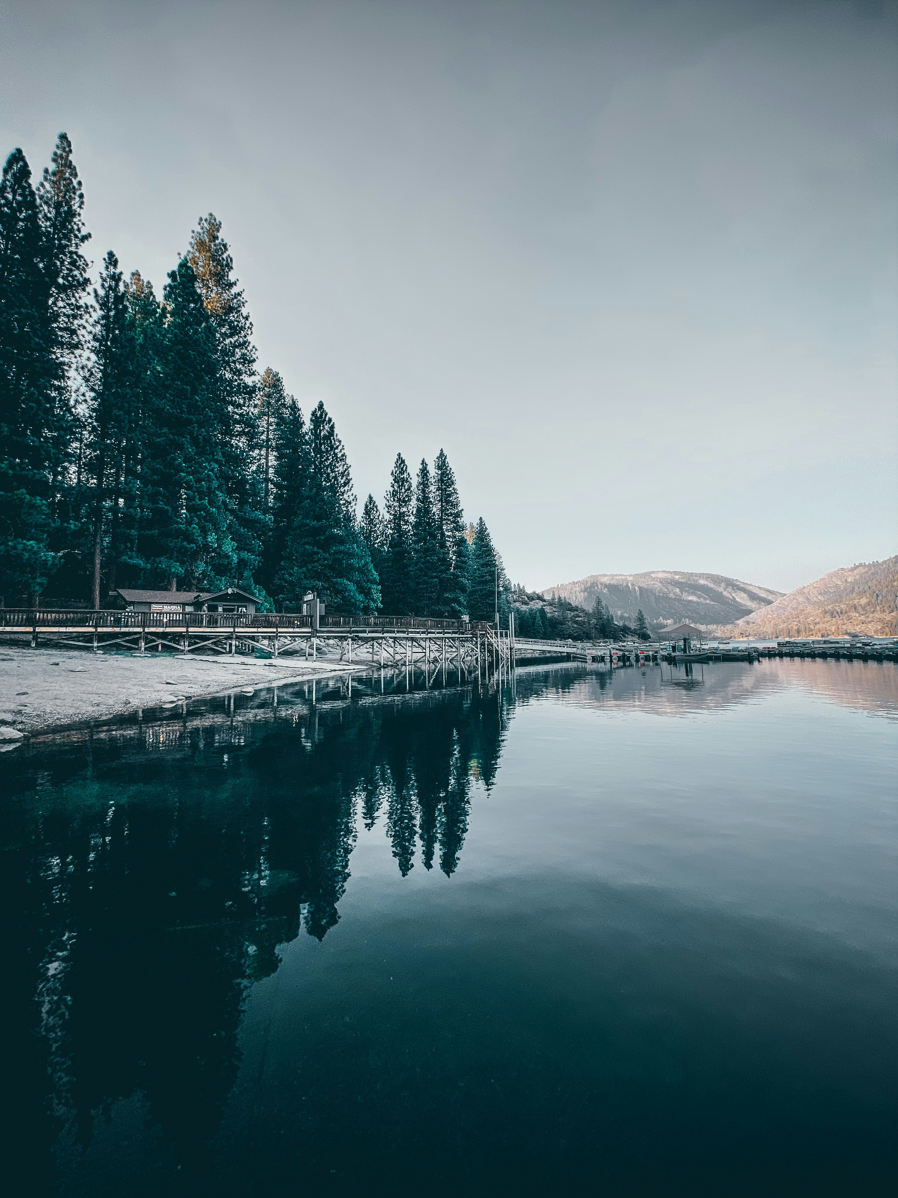 Photo by guss_bedolla