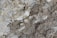 A close-up of a textured, rocky surface with visible layers of sediment and small, scattered twigs. The surface appears dusty and rough, with varying shades of earthy colors.