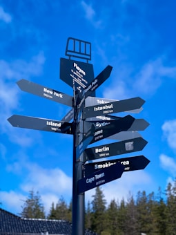 A black signpost with multiple directional arrow signs points towards various international destinations with their respective distances, under a bright blue sky with some clouds. Pine trees can be seen in the background.