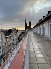 Photo of bird control spikes installed on a commercial building roof