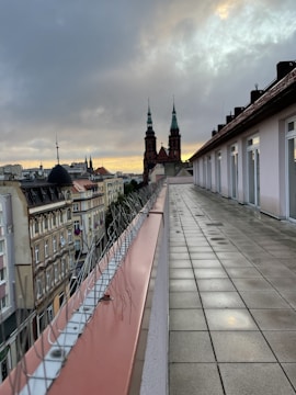 Photo of bird control spikes installed on a commercial building roof