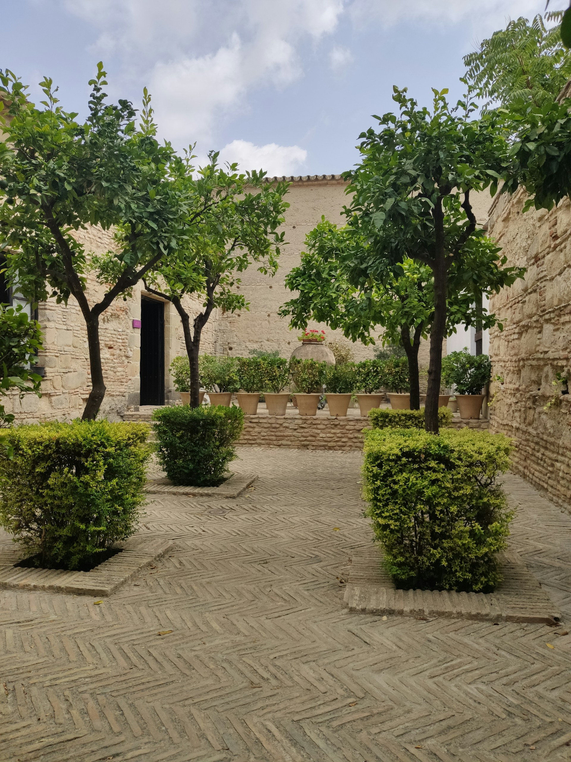 A serene commercial courtyard featuring sustainable landscaping with drought-resistant shrubs and a natural stone pathway, cared for by mèno green.