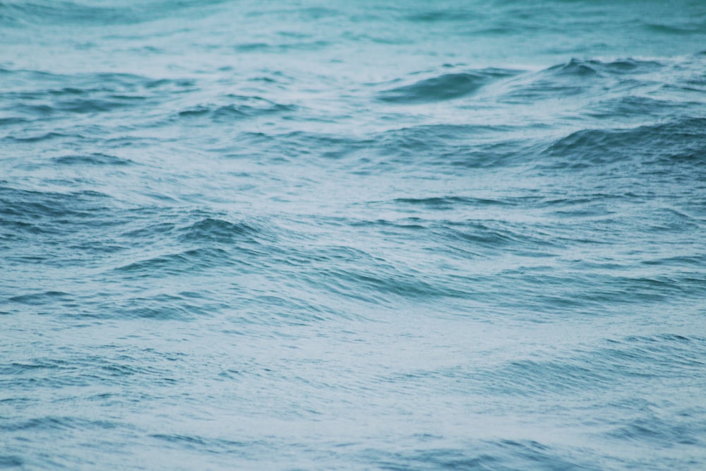 blue body of water during daytime