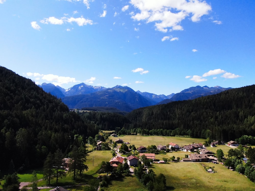 green trees and mountains under blue sky during daytime