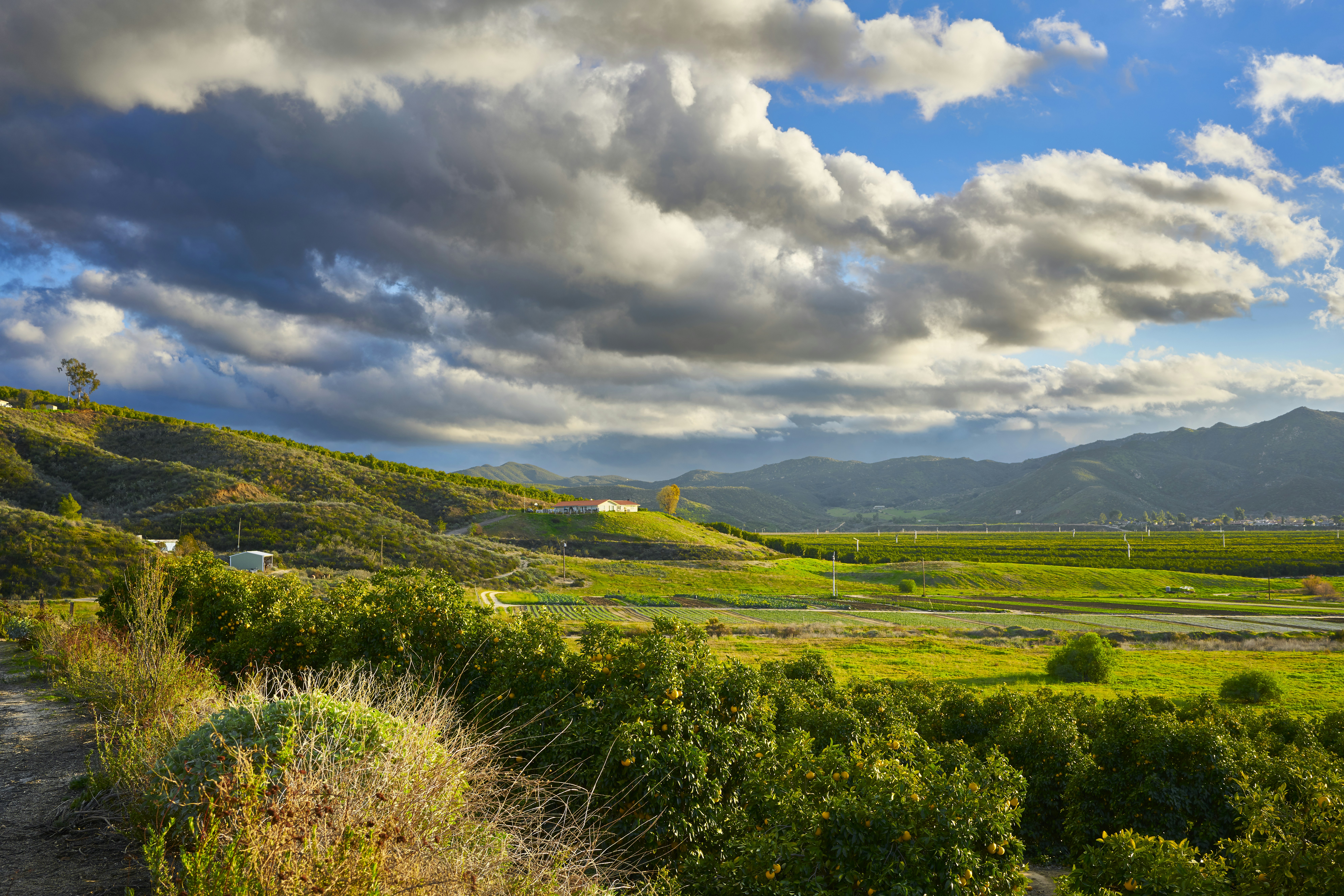 Image by Don Starkey via Unsplash