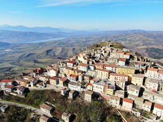 aerial view of city during daytime