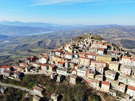aerial view of city during daytime