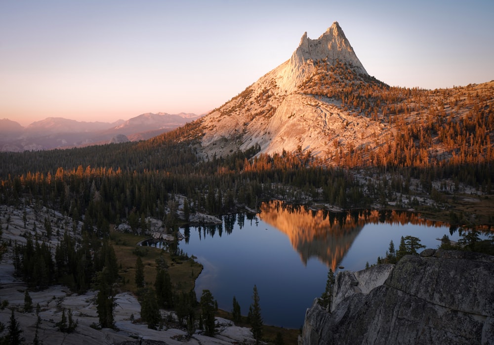 brown and white mountain near green trees during daytime