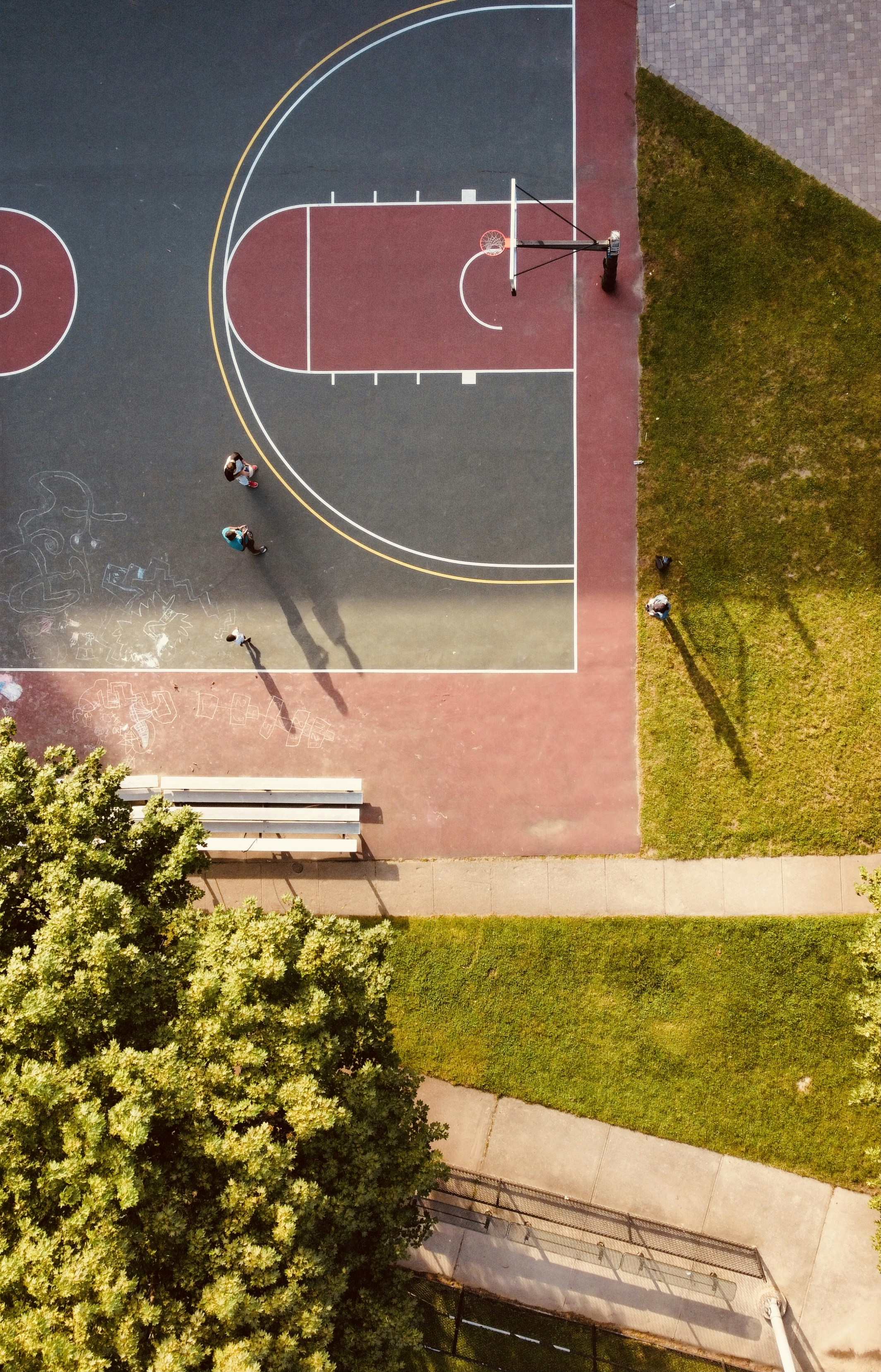 green grass and trees during daytime