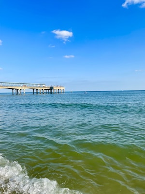 A long pier extends over calm ocean waters under a clear blue sky. The waves gently break at the shoreline, creating a peaceful seaside scene.