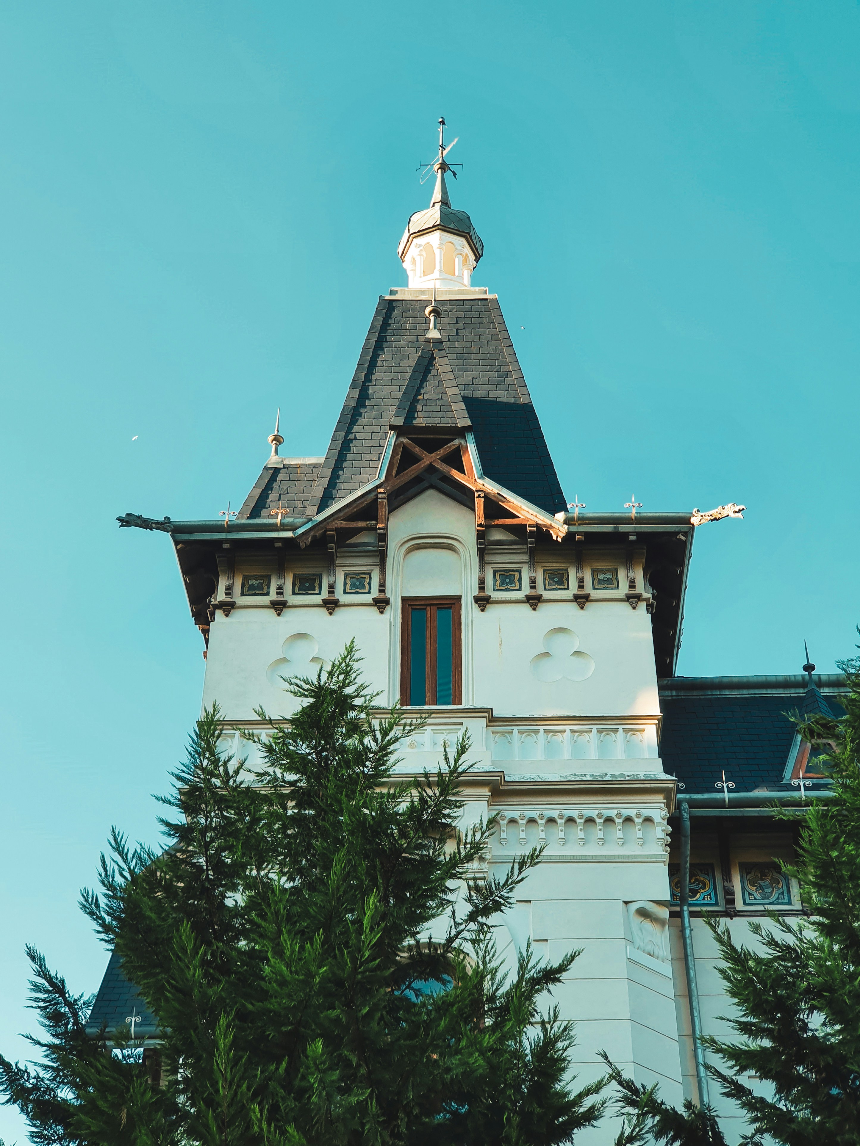 Photo by bianca_fazacas