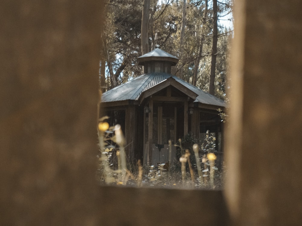 people standing near brown wooden house during daytime