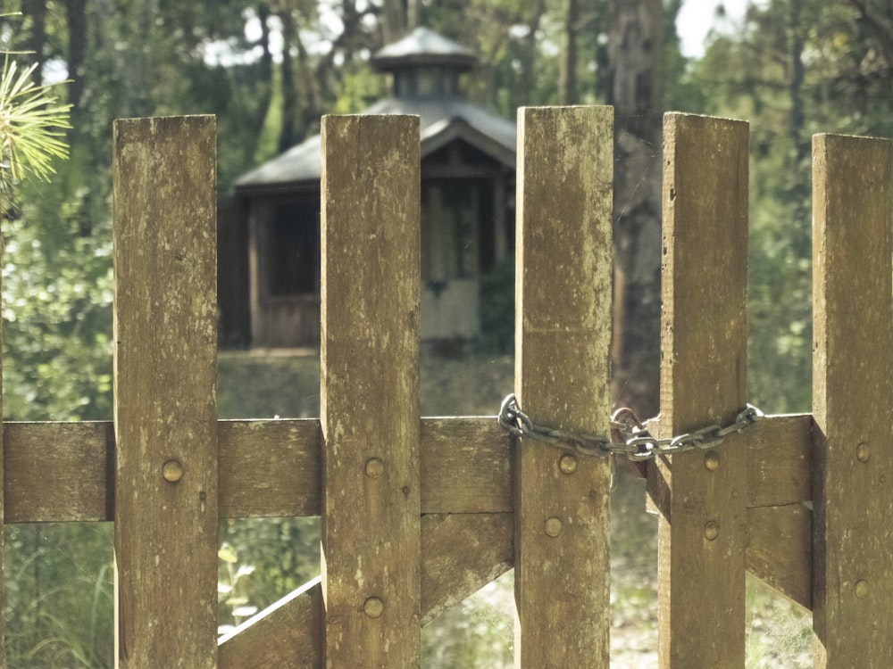 brown wooden fence near green trees during daytime