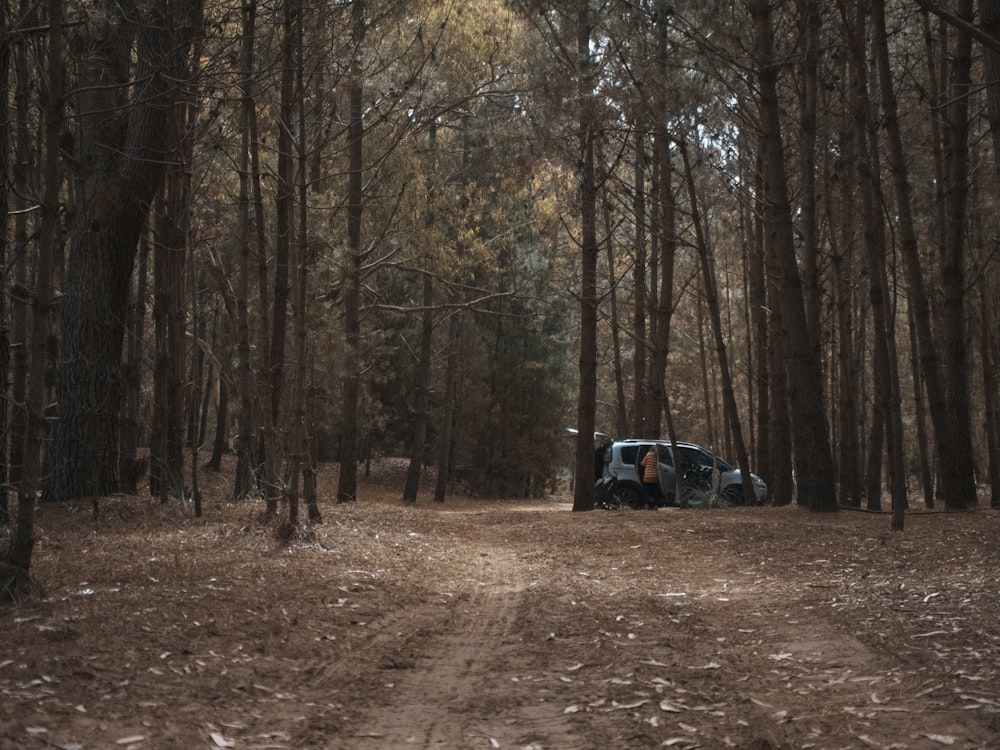 person in black jacket and black pants sitting on brown dirt road between trees during daytime