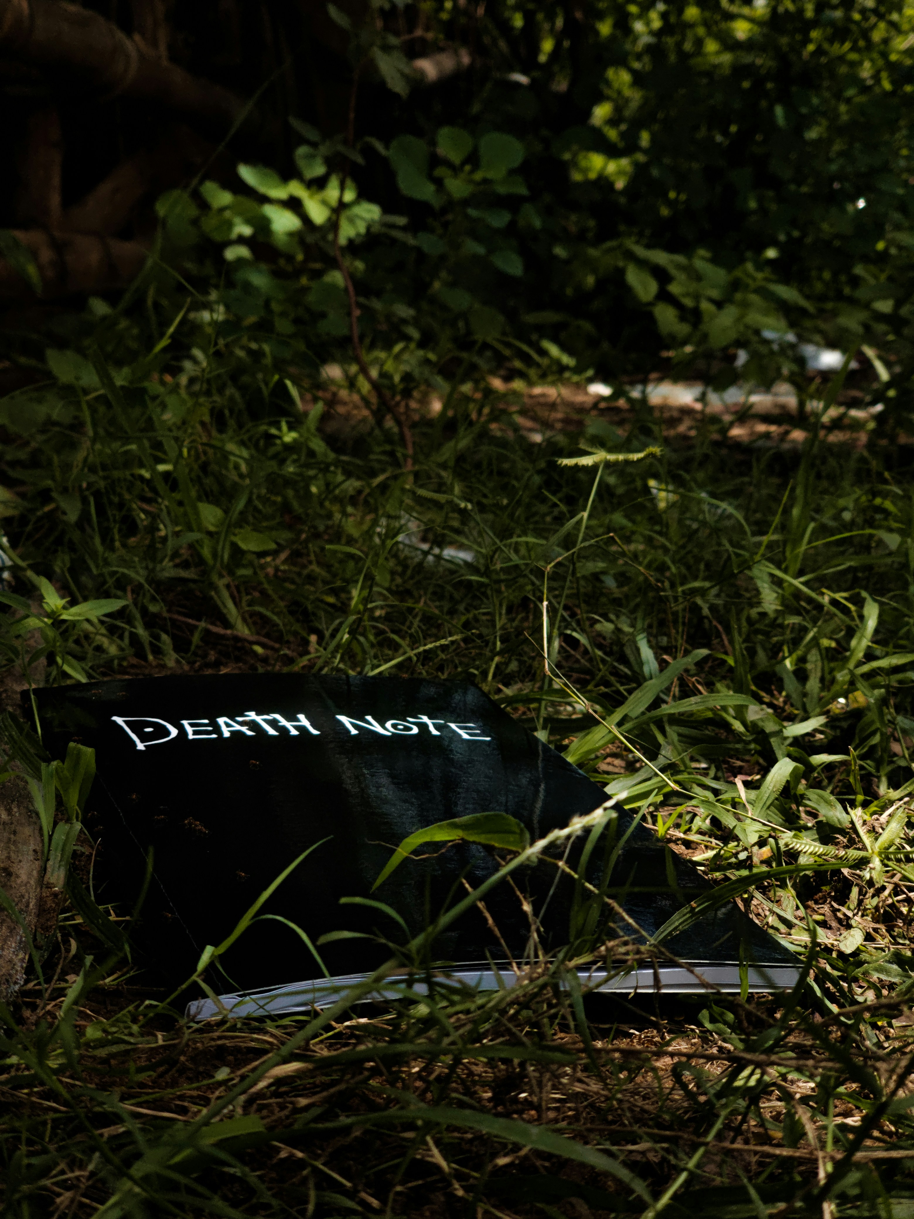 a book that is laying in the grass