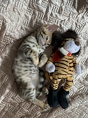 A small, playful kitten with a spotted coat lies on its back on a textured quilt, next to a stuffed toy resembling a tiger wearing a scarf. The kitten looks content and is nestled close to the toy.