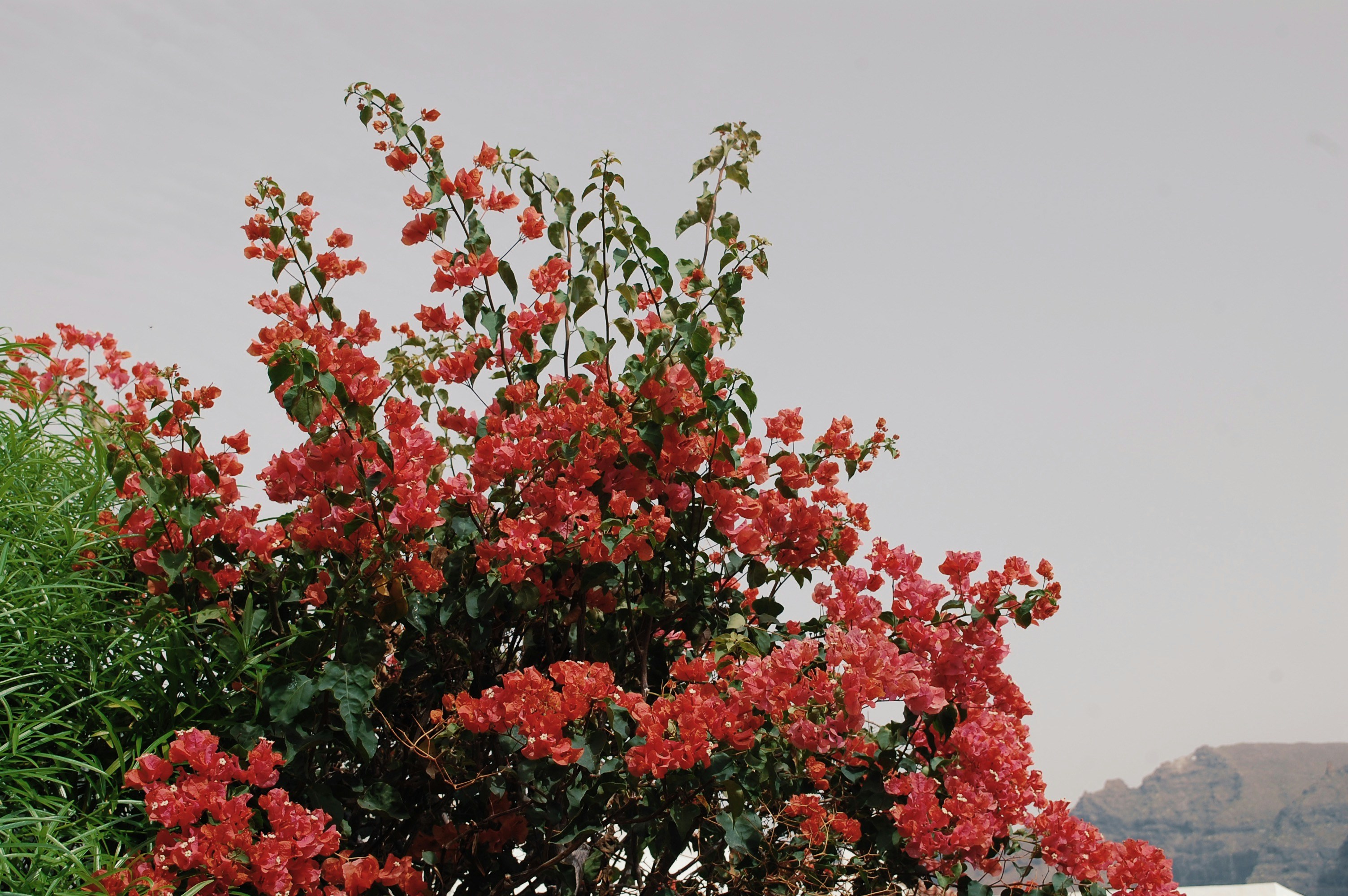 Photo by chloeherriot