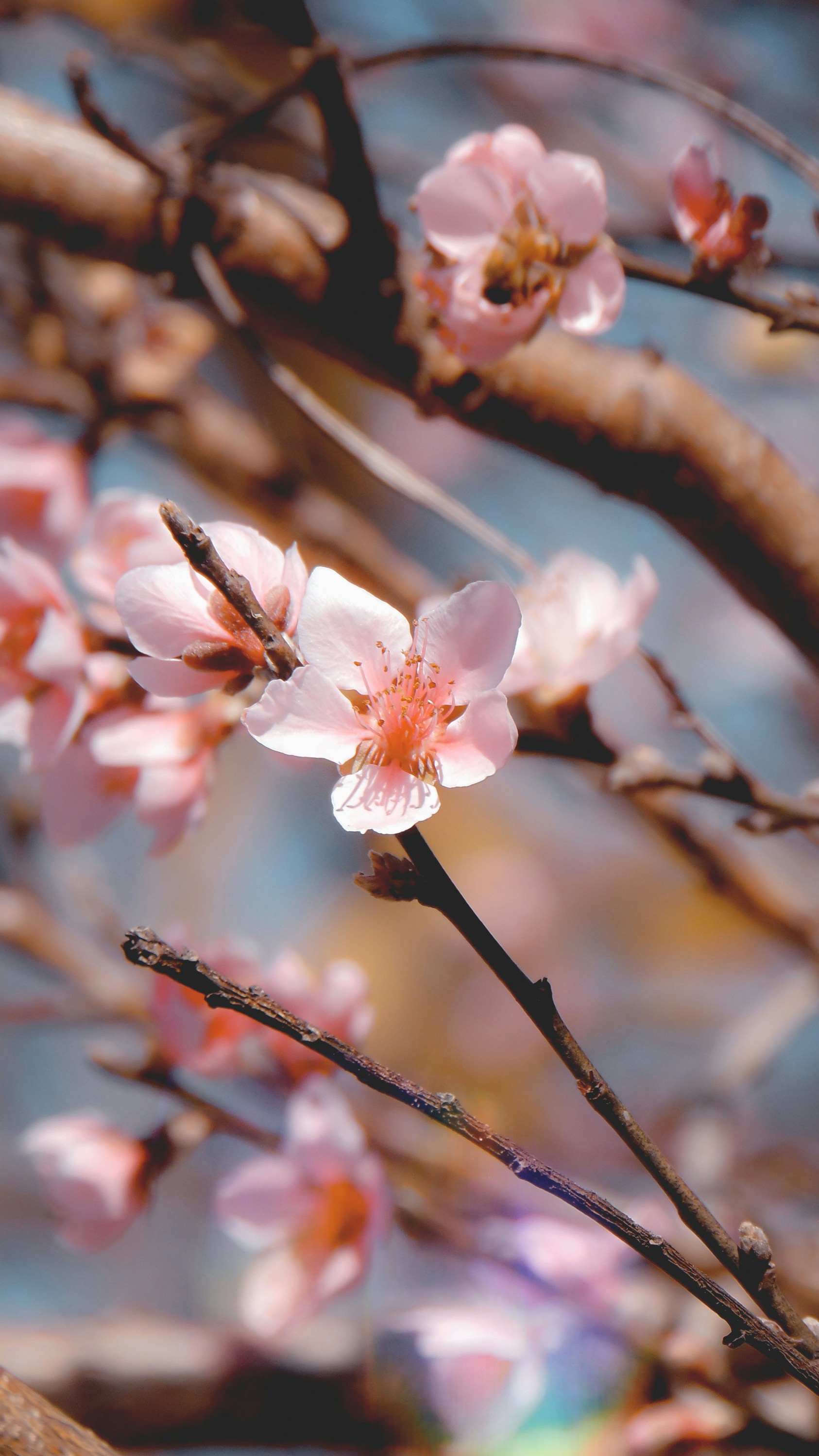 Photo by lucasvphotos