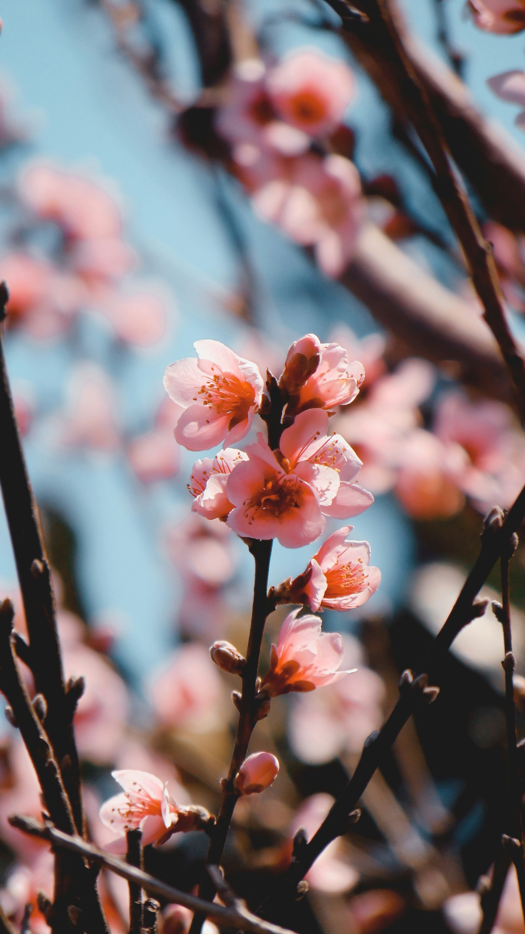 Photo by lucasvphotos