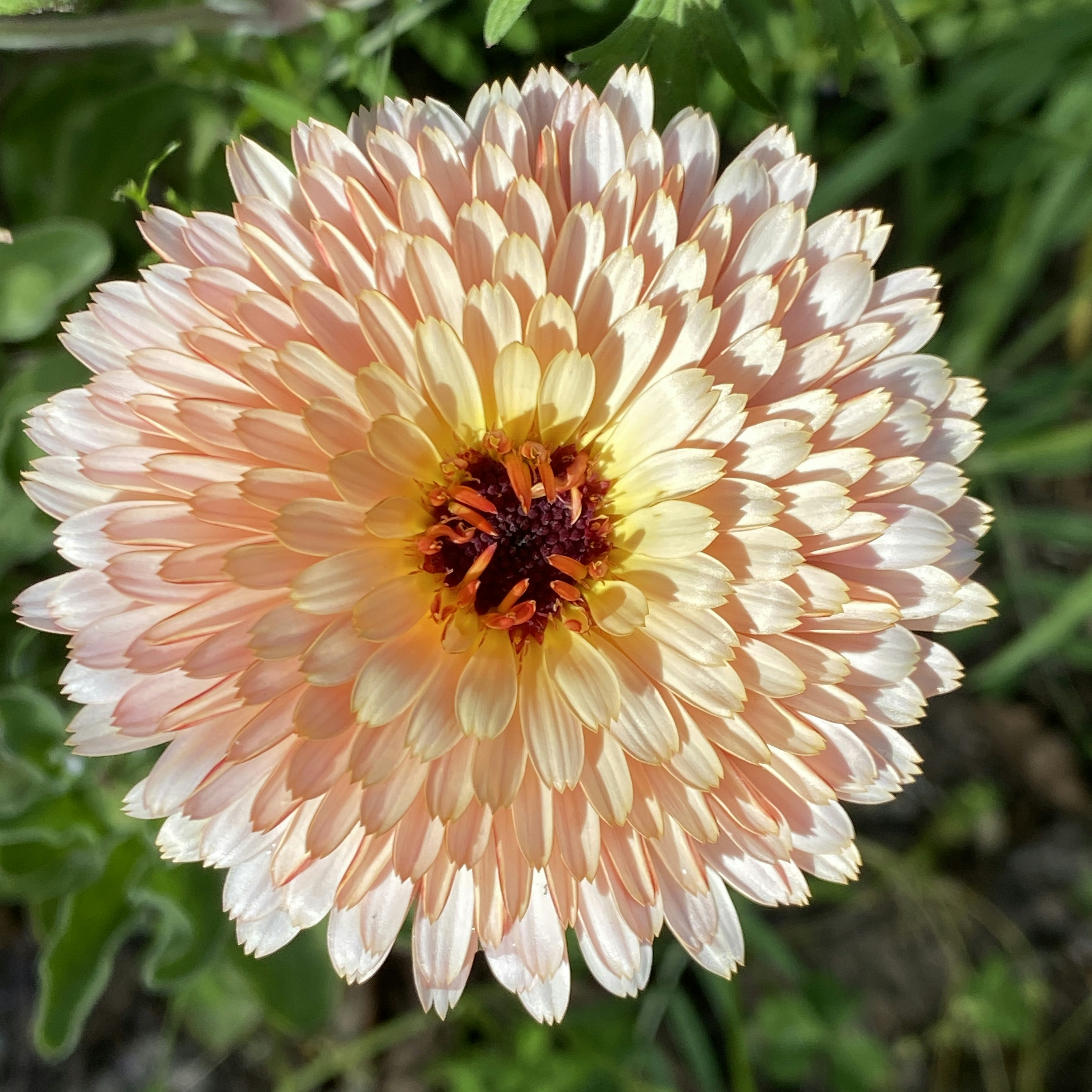 Photo by vitalimagesphotography