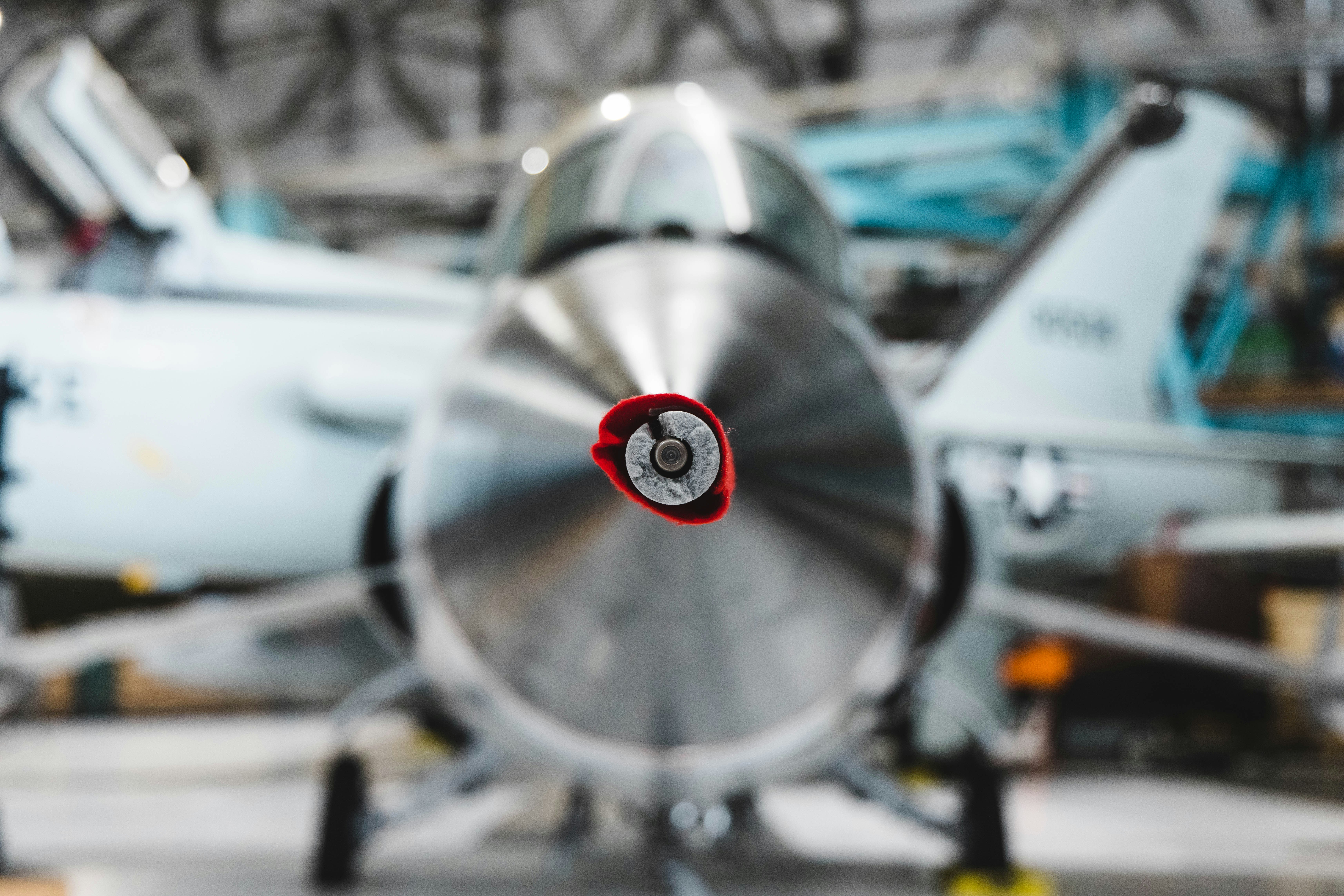 Photo by dear_jondog