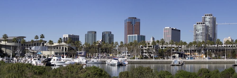 white and blue boat on body of water near city buildings during daytime