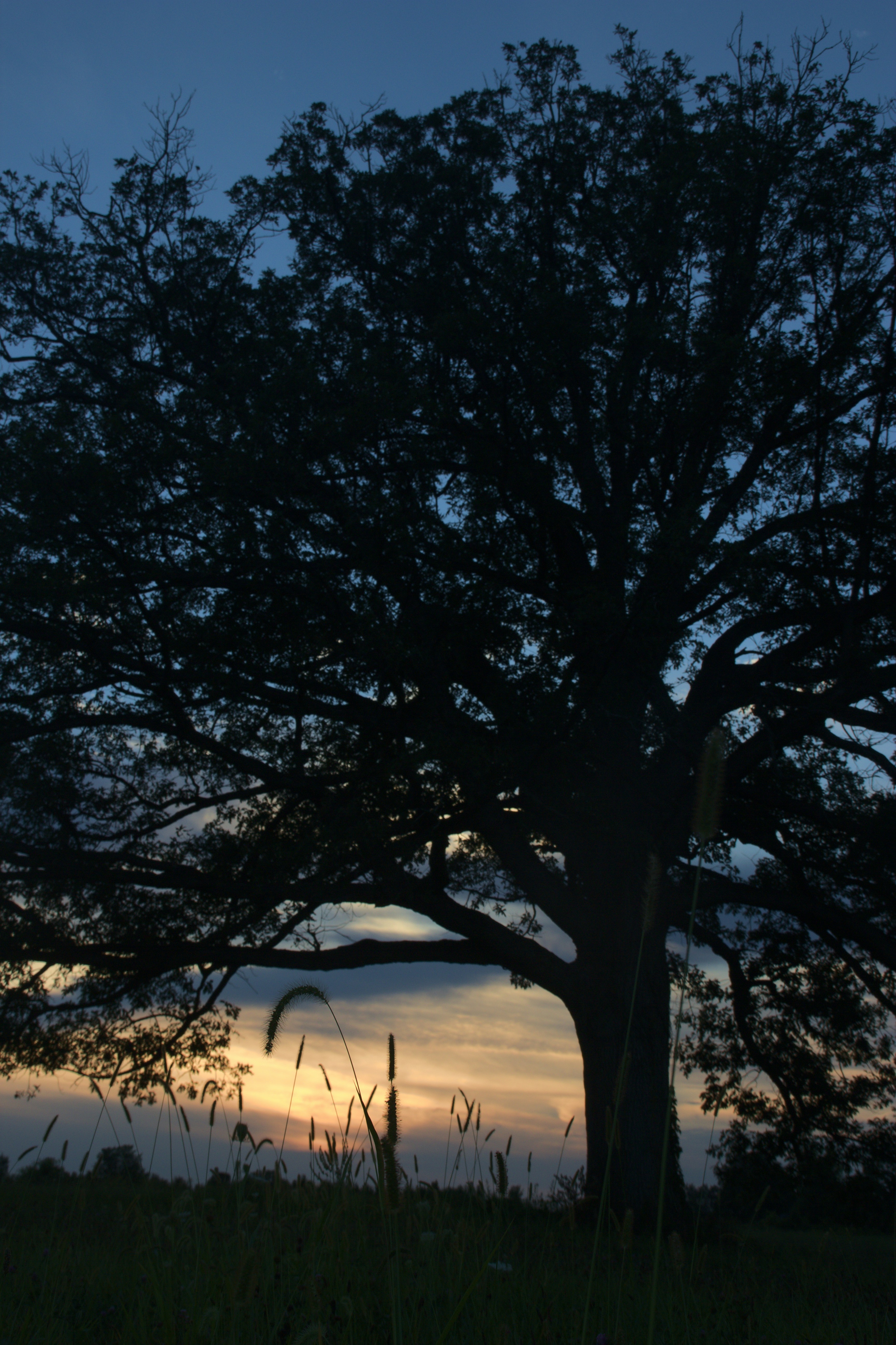 Photo by mrgreatheart