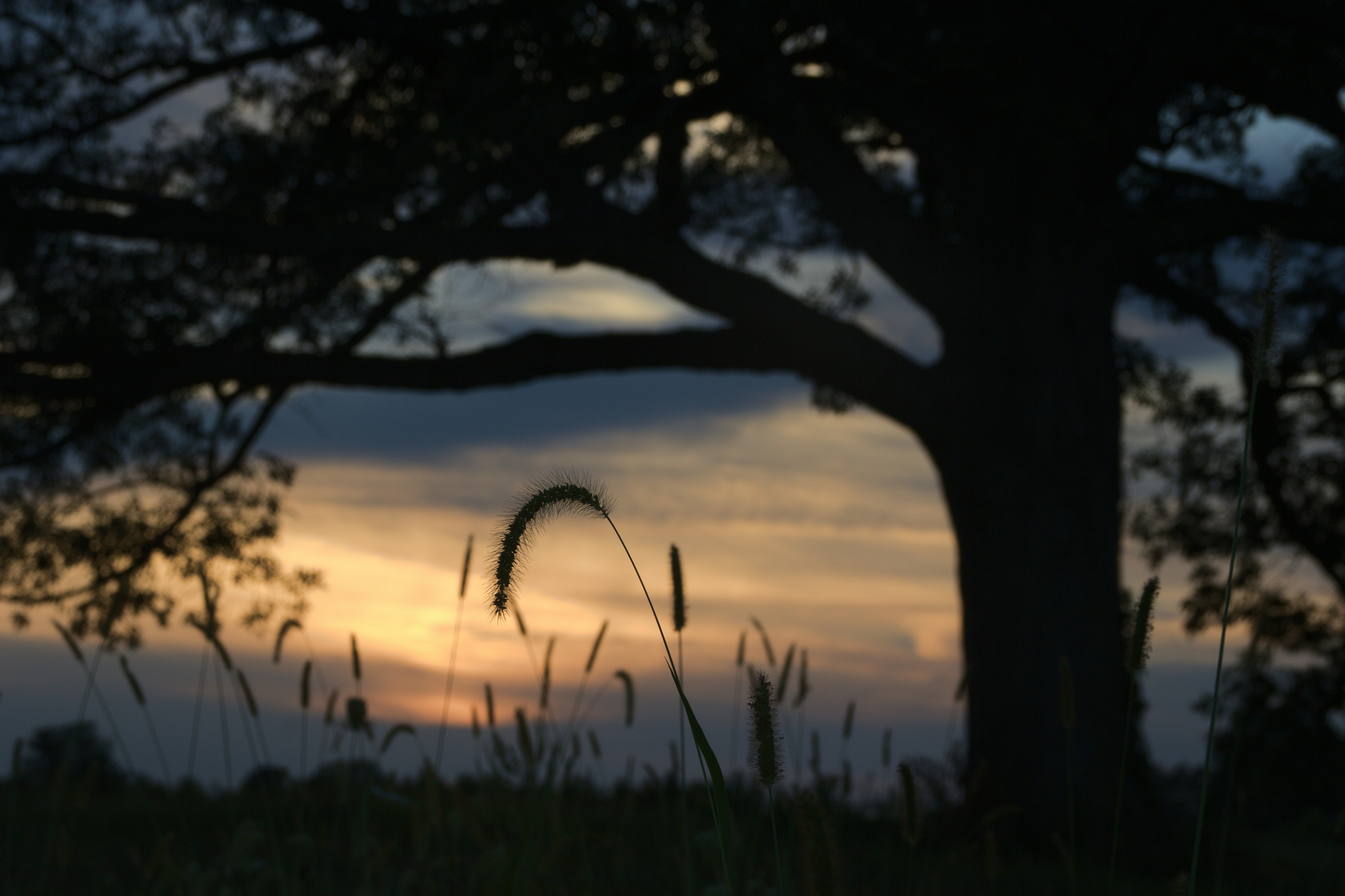 Photo by mrgreatheart