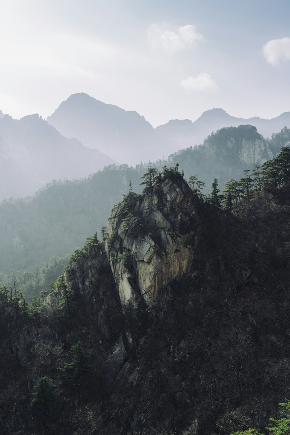 alberi verdi sulla montagna durante il giorno