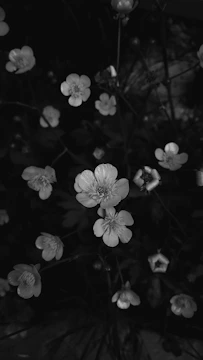 Delicate flower petals with intricate laser-etched patterns